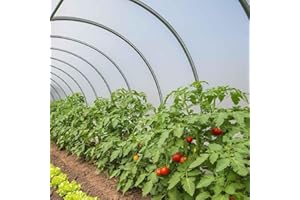 TECPLAST Bâche Serre 6x13 m 200SE - Film plastique transparent pour serre de jardin - Haute Performance - Made in France