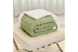 DREAMLANDING Elektrische Heizdecke Single120 x 160cm, um Körper warm zu halten Maschine Waschbar Soft Jacquard Sherpa werfen 4-Wärmestufen