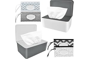 Boîte de lingettes humides Boîte de papier toilette pour bébé : Nizirioo Boîte de 2 lingettes humides pour bébé et 4 pièces de lingettes humides pour bébé, boîte à serviettes avec couvercle Boîtes à