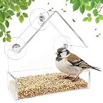 Mangiatoia Per Uccelli Da Finestra – Grande, Con 4 Ventose Super Forti E 3 Posatoi – Vassoio Rimovibile, Fori Di Drenaggio, Regalo Per Birdwatcher
