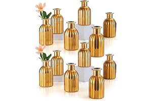 Inweder Lot de 12 petits vases en verre pour décoration de table de Noël - Vintage nervuré - Col étroit - Bouteilles en verre doré - Centre de table de mariage - Station de propagation de plantes -