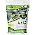 Natural Health Products Natural Giloy/Guduchi Powder - 100g