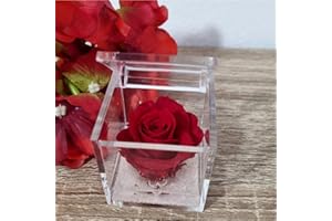 TOKISO Sindy Bomboniere Rose stabilizzate in Scatola cubo Vari Colori con Gel e Sabbia (Rossa)