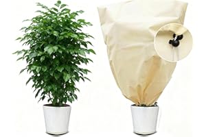 MYOWELL Winterschutz für Pflanzen - 60x80cm Frostschutz Kübelpflanzensack, Lichtdurchlässig und Atmungsaktiv Winterschutz für Kübelpflanzen für Palmen, Olivenbaum, Obstbäume (Beige, mit Zugband