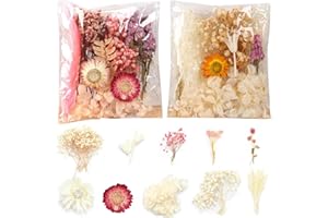 XBFOCNH 2 borse Fiori Secchi per Resina,Fiori Secchi Veri Pressati Fai da te Gioielli Resina,Fiori Secchi Naturali per Resina Epossidica Scrapbooking