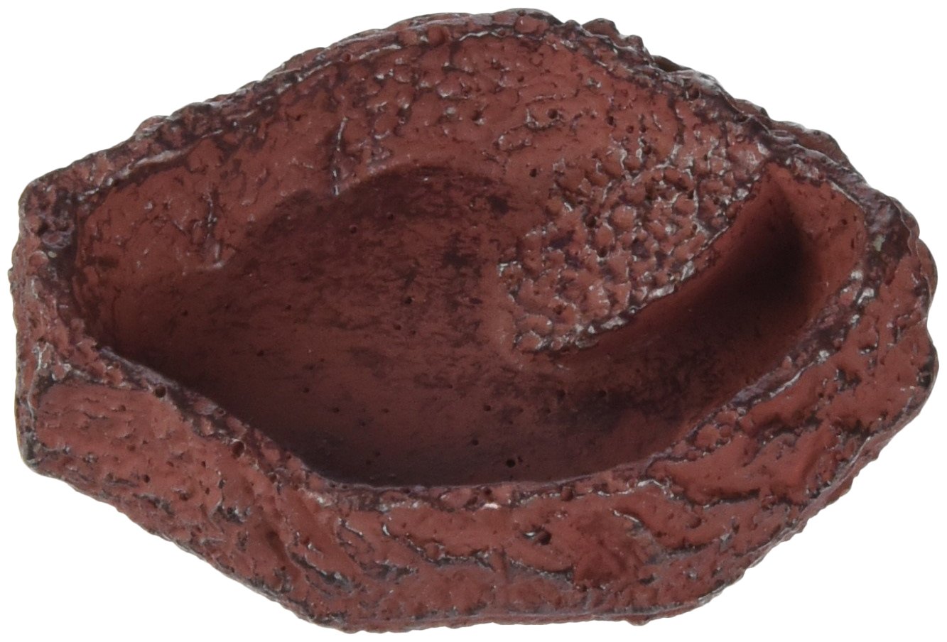 JBL 71076, Bere e Bagno Ciotola per Animali da terrario Rettile, XS, Rosso