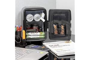 Global Gizmos Mini Fridge | 4 Litre 6 Can Capacity | Store Snacks, Drinks and Beauty Products | Portable with Car Charger & Carry Handle (Black)