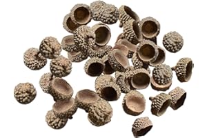 SM SunniMix 100Pcs Acorns Bulk Real Acorns Caps Decorative Vase Fillers Home Party Wreath DIY Christmas Kitchen Photo Props Ornaments, Natural Acorn Caps