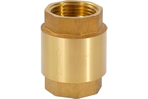 JESUSTREE Clapet Anti-retour 3/4" Entièrement en Laiton, DN20 Vanne Anti-Retour Universel, Antirouille et étanche pour Pompe, Fontaine, Machine à Laver, Jardin, Mégots de Pluie, Baril