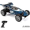 CMJ RC Cars™ Blue Remote Control Zoom Buggy 1:16 Electric Radio Controlled Car High Speed Racer 2.4Ghz