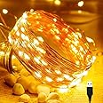 Desidiya® 200 LED Fairy String Lights 20M USB Powered for DIY Christmas, Wedding, Party, and Bedroom Decor, Ideal for Indoor and Outdoor Use, Warm White