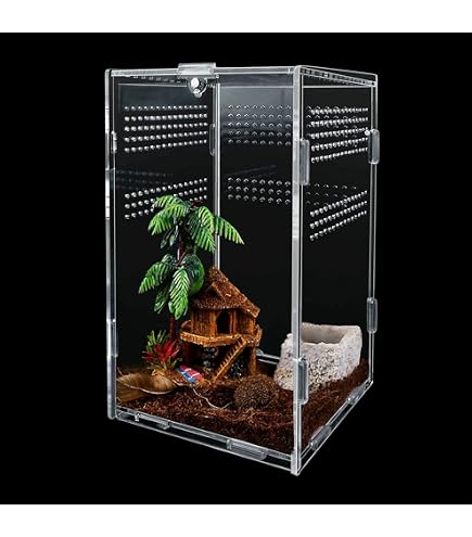 Homtone Acryl Insectenterrarium – 15x15x25 Cm, Met Magneetdeur, Voeropening, 1 Mm Ventilatiegaatjes, Voor Springspinnen, Slakken En Kleine Reptielen