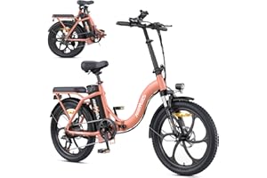 HILLMILES MilePort 1 Bici Elettrica Per Adulti, 36V 13AH Batteria Rimovibile 250w Motore Con 20 “*3.0” Fat Tire Pieghevole Bicicletta Elettrica, Velocità 25KM/H Gamma Fino a 100KM Città Pendolare Ebike