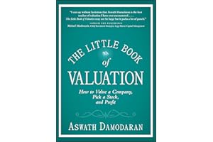The Little Book of Valuation: How to Value a Company, Pick a Stock and Profit (Little Books. Big Profits)
