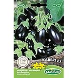 Germisem Aubergine MINI KABERI F1, mehrfarbig, EC5011
