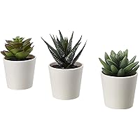Ikea FEJKA Artificial Potted Plant with Pot, in/Outdoor Succulent, 6 cm 3 Pack (2 ¼" 3 Pack)