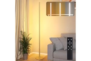 Hzitcigm Lampadaire sur Pied Salon LED, Lampe sur Pied Intensité Variable en Continu Colores 2700K-6500K Lampadaire D'Angle avec Control Remoto Moderne Lampe Lecture Esquina Lampara pour Chambre Salon