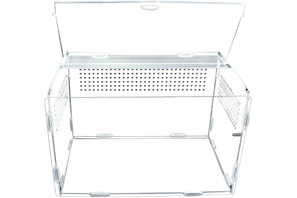 Habitat de terrarium transparent pour reptiles, boîte d'alimentation en acrylique pleine vue, boîte d'élevage de reptiles avec trous d'air, pour escargot de tortue de grillon de grenouille d'insecte