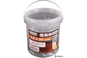 Connex Takpapppennor 2,8 x 25 mm – 900 g – försänkt huvud – galvaniserad – förvaring i en praktisk hink – perfekt för takpapp