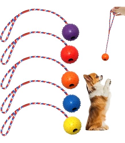 FULLINY 4er Set Hundespielzeug – 2 Quietschbälle & 2 Gummibälle Für Kleine Hunde