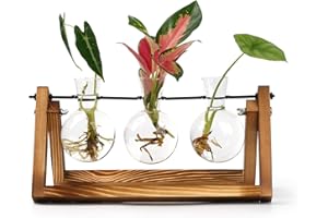 E-ROOM TREND Terrario de Estación de Propagación de Plantas con Soporte de Madera para Flores Hidropónicas Decoración para el Hogar la Oficina Jardín para Amantes de Las Plantas 3 Bombilla Florero