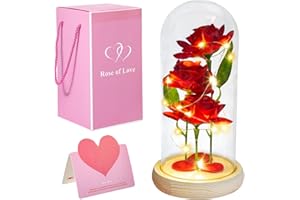 Hywean Homd Roses Eternelle sous Cloche, la Belle et la Bête Rose Enchantée sont Exquises et Belles, la Rose Eternelle pour Petite Amie Mère épouse à Noël Saint Valentin Anniversaire Fête des Mères