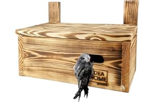 IDEA HOME LEVIATAN APUS Nesting Box for Wall Sailor Birds | Solid Wood | Nesting Box for Birds | Ready-to-Use, No Assembly Required | Bird House