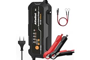 Carica Batteria per Auto Intelligente AlfaBot R1, 5A Mantenitore Batteria Moto Per Batterie al Litio, Piombo, GEL, Start/Stop EFB, AGM, Carica/Riparazione per Batterie 12V e 6V