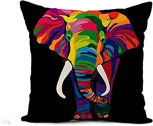 bright cushions amazon