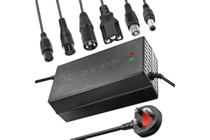 RAOKSUNE 29.4V 42V 54.6V 58.8V 67.2V 84V 96.6V Li-ion battery multi-function charger 2A 5A with cooling fan 24V 36V 48V 51V 60V 72V (58.8V 5A)