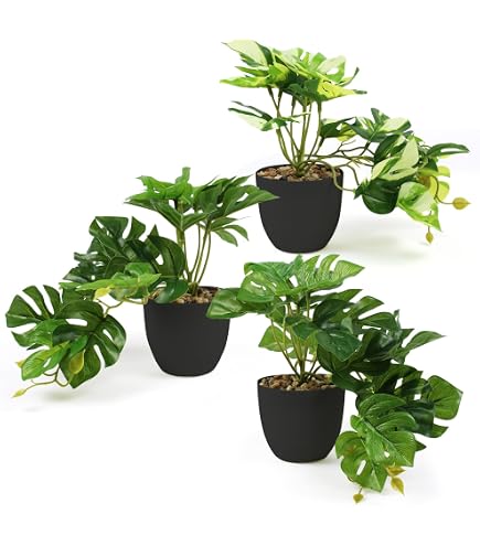 Halbur 3 Stück Künstliche Calathea Makoyana Pflanzen – 30 Cm Hoch, Im Weißen Topf, Realistisch & Pflegeleicht