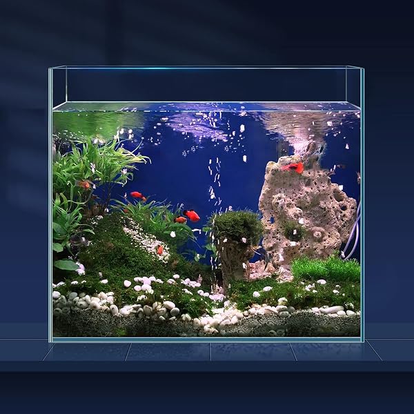 Nature Aquarium: Complete Works 1985-2009: Amazon.co.uk: Takashi