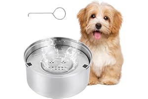 Amexo Gamelle d'eau Anti Éclaboussures pour Chiens, Gamelle d'eau Anti Déversement pour Chien en Acier INOX 304, Bol d'eau Antidérapant pour Animaux de Compagnie (1L)