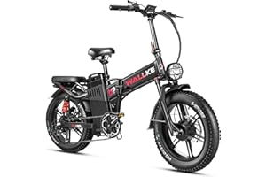 W Wallke H9 Pliant Adulte Double Moteur Suspension complète vélo électrique Batterie 48V60ah 20 Pouces Fat Tyre Frein hydraulique pour vélo électrique