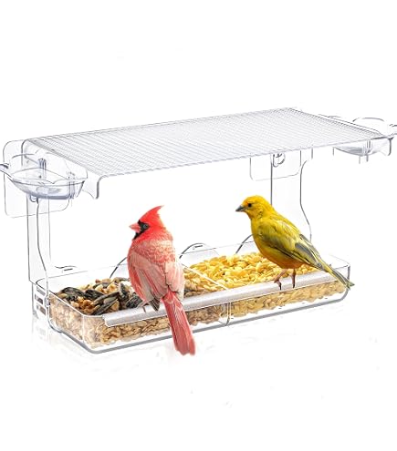 Mangeoire à Oiseaux Transparente Pour Fenêtre - Avec 3 Ventouses Et Perchoir, 25x15,5 Cm, Facile à Installer - 7