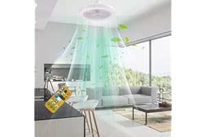 CEWIFO Ventilatori da soffitto con luci Telecomando reversibile Ventilatore da camera da letto silenzioso con lampade Velocità regolabile per soggiorno, sala da pranzo, ufficio (Bianco, 25 cm)