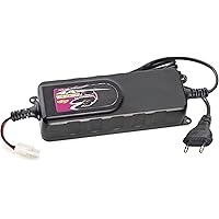 Carson 605017 - Schnell Ladegerät 4A Delta Peak