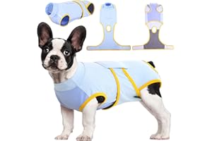 Kuoser Combinaison de récupération pour Chien pour Petite Moyenne Grande Taille, Protecteur de plaie Abdominale, maladie de la Peau de Chat, Chiot après Une opération chirurgicale