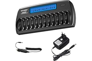 CITYORK Cargador de Pilas LCD de 12 Ranuras para AA AAA Ni-MH Ni-CD Pilas Recargables con Carga Inteligente e Independiente, AC Adaptador