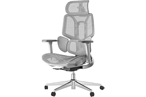Hbada E3 ergonomiczne krzesło biurowe, komputerowe – z 3-strefowym dynamicznym podparciem okolic lędźwiowych, regulowany zagłówek 3D, regulowane podłokietniki 3D, krzesło biurowe, szare (bez podnóżka)