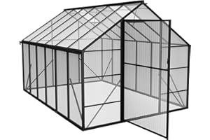 PEILU Serre en aluminium avec panneaux en polycarbonate transparent, fenêtre de toit, porte et fondation, 380 x 250 x 205 cm, résistante à l'hiver, pour jardin, extérieur