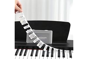 YEAHBOOM Pegatinas de Piano para Teclado - Notas de Teclas Extraíbles y Reutilizables