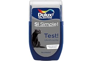Dulux Valentine Peinture Si Simple - Testeur Couleur l'Anthracite 30 ml