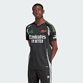 adidas Arsenal 24/25 Away Jersey