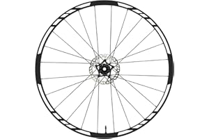 DualColorStampe Adesivi Cerchi Bici MTB 26'' - 27,5'' - 28-29'' Pollici Ruota Bike Stickers COD. B0097 (28-29'' Pollici, Bianco Opaco)