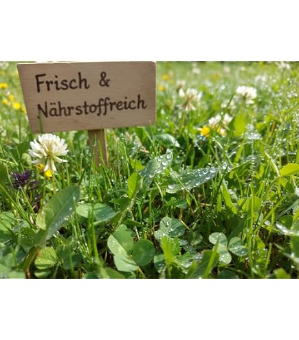 künstliche blätter zum basteln 200 Stück Künstliche Ahornblätter Ahorn Basteln Blatt Dekoration Fälsc main image 1