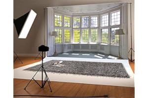 YongFoto 3x2m fotografia tło wnętrze europejski budynek francuski szarfa słońce natura jesień scena zdjęcie tło tło fotografia impreza dorośli ślub portret fotografia rekwizyty do fotograficznego