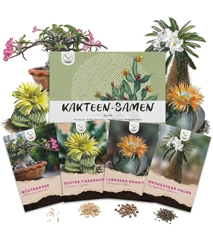 Semi Di Tamarindo (Tamarindus Indica) - Albero Del Tamarindo. Ideali Per Bonsai E Coltivazione In Contenitore. Perfetti Per Giardini E Appassionati Di Piante Esotiche.