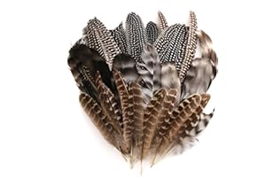 FAGENT 12-20CM Natürliche Truthahnfedern, 30 Stück Natur Federn zum basteln Fasanenfedern, Hühnerfeder Bastelfedern Deko für DIY Traumfänger Kostüm Karneval Masken Halloween Kranz Hochzeit Party