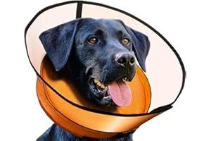Aschpas® 2 IN 1 Dog Donut Collar with Cone, Inflatable Dog Collars for after Surgery, Cat Cone [Size 4]